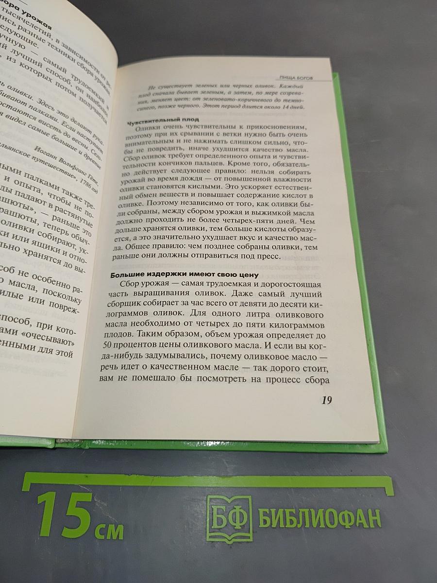 Лечение оливковым маслом. Домашняя аптека