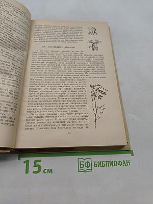 Рассказы о животных