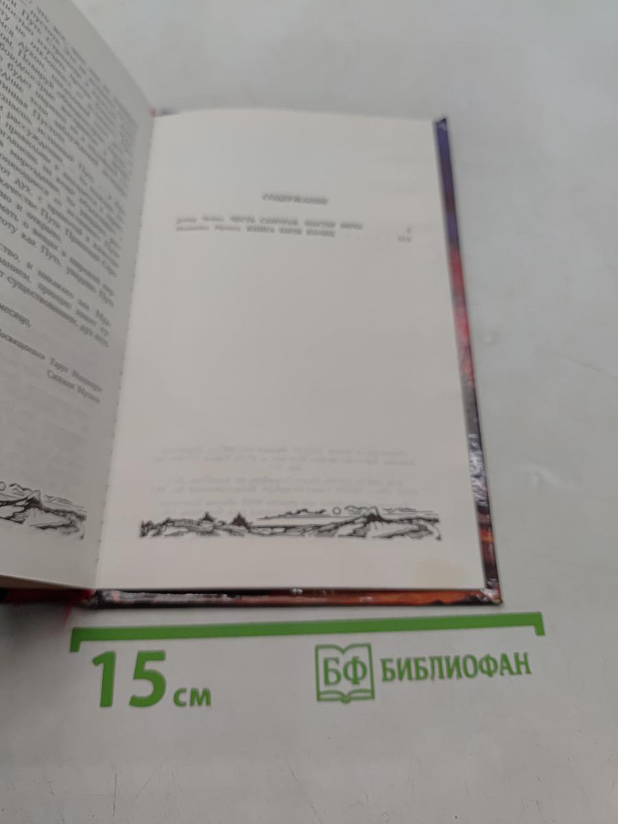 Честь самурая. Мастер меча
