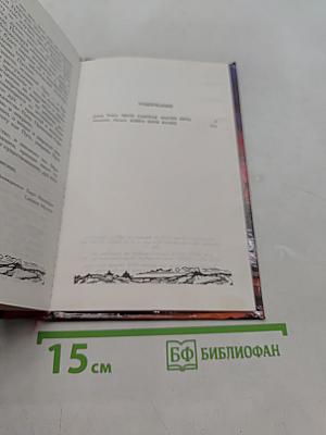 Честь самурая. Мастер меча