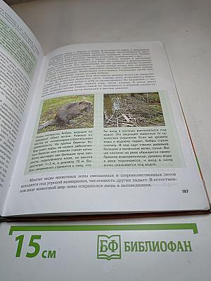 География России. Природа. Население. 8 класс