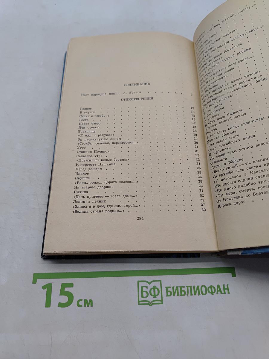 Стихотворения. Василий Тёркин