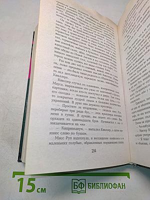 Кот, который проходил сквозь стены