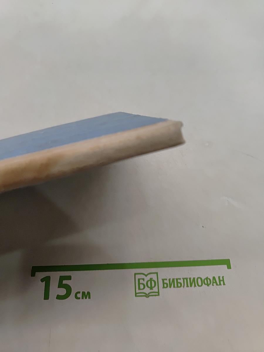 Тимур и его команда