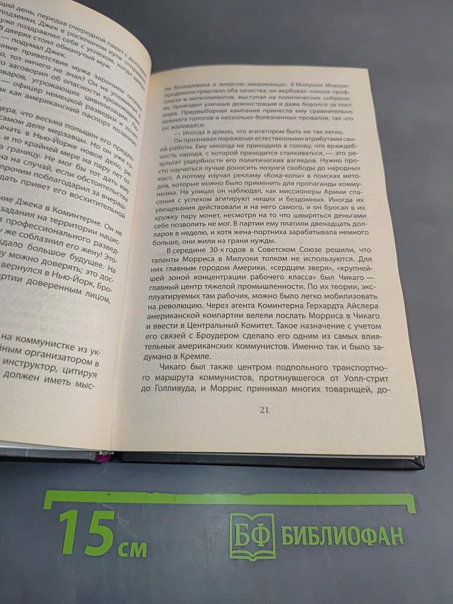 Агент ФБР в Кремле. Успех операции «Соло»