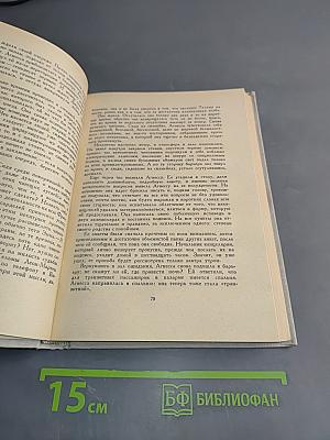 Золотая решетка