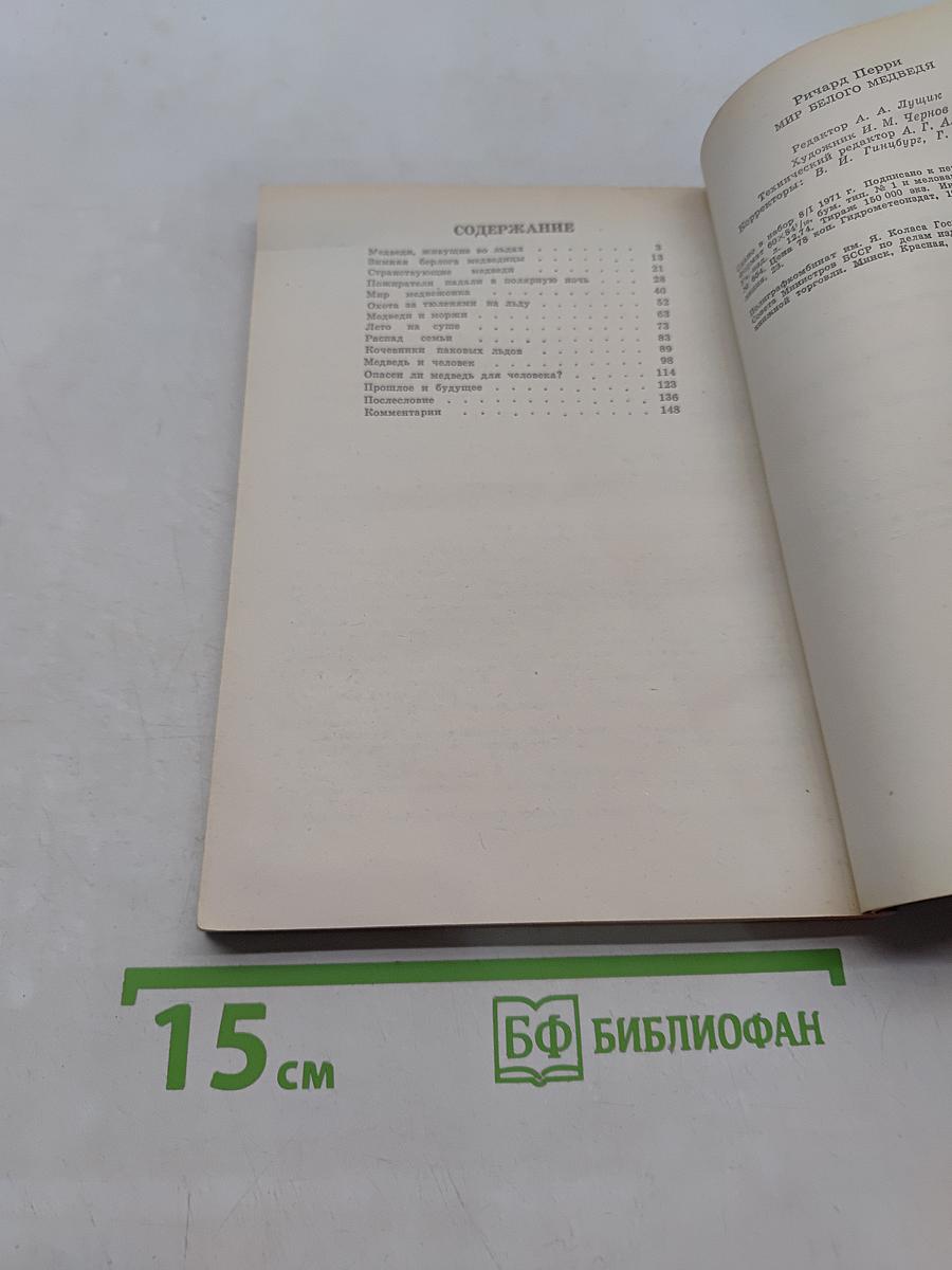 Мир белого медведя