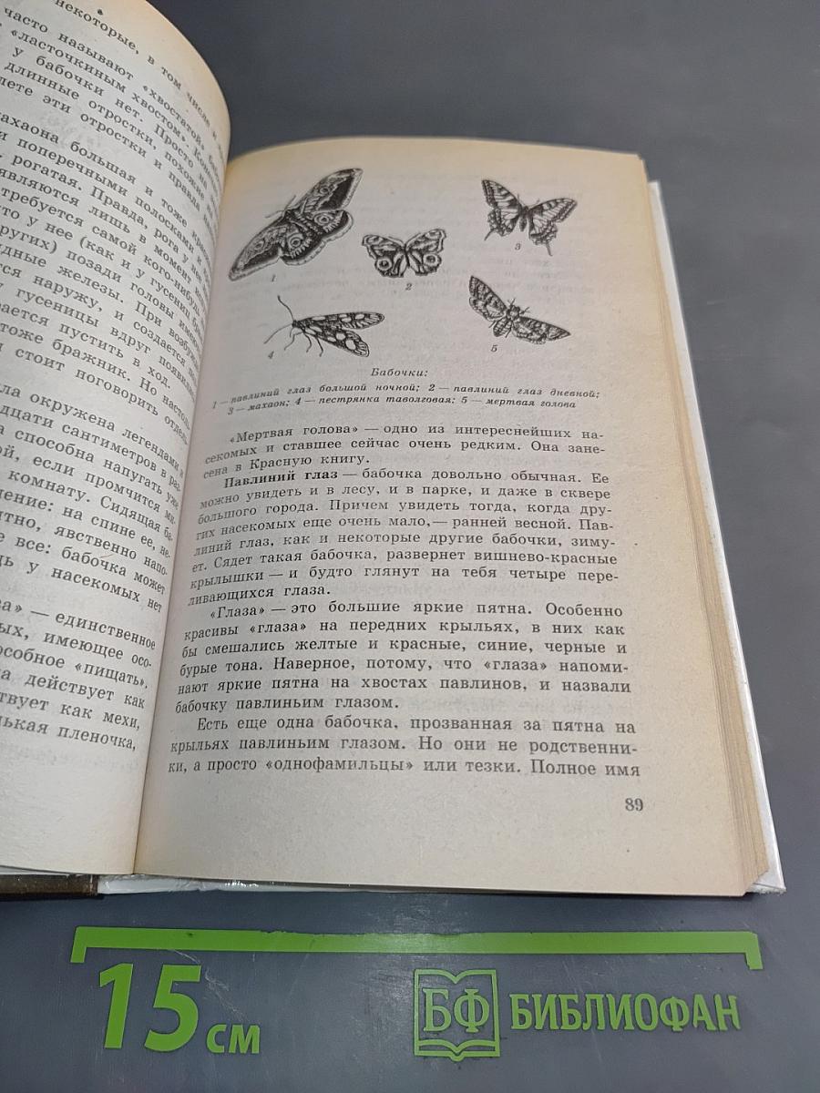 Популярная энциклопедия животных