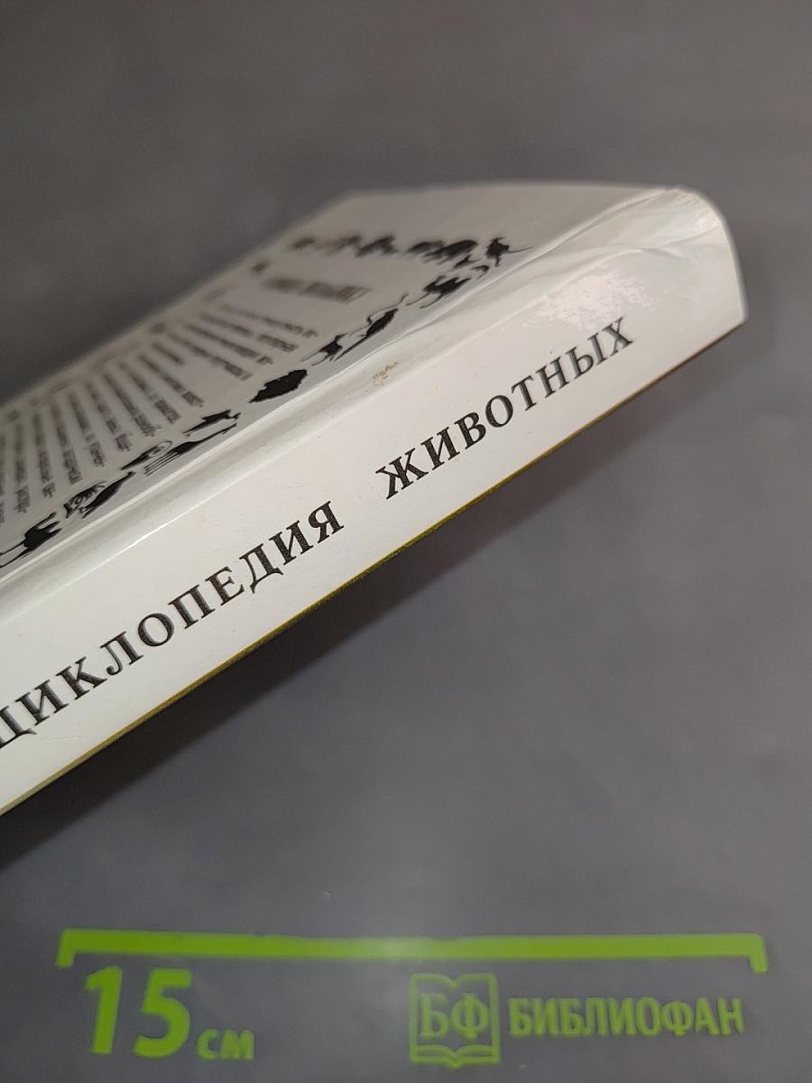 Популярная энциклопедия животных