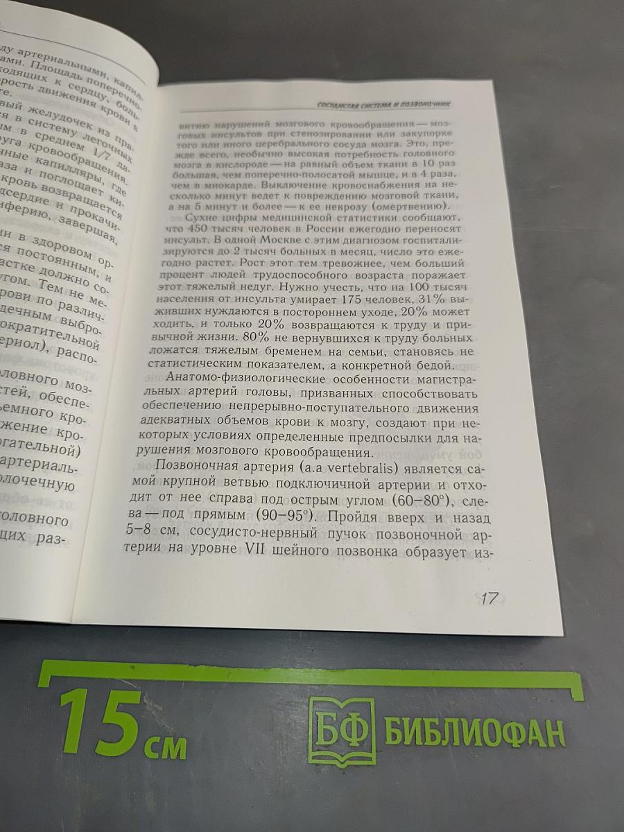 Гимнастика для сосудов