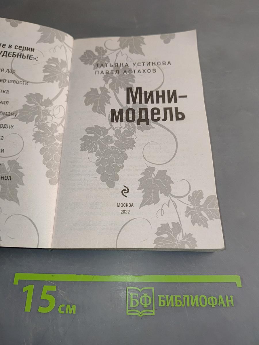 Мини-модель