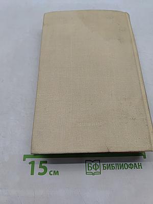 Всегда не виновен