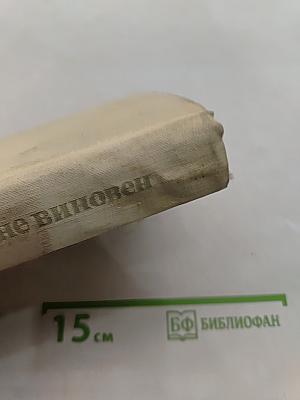 Всегда не виновен