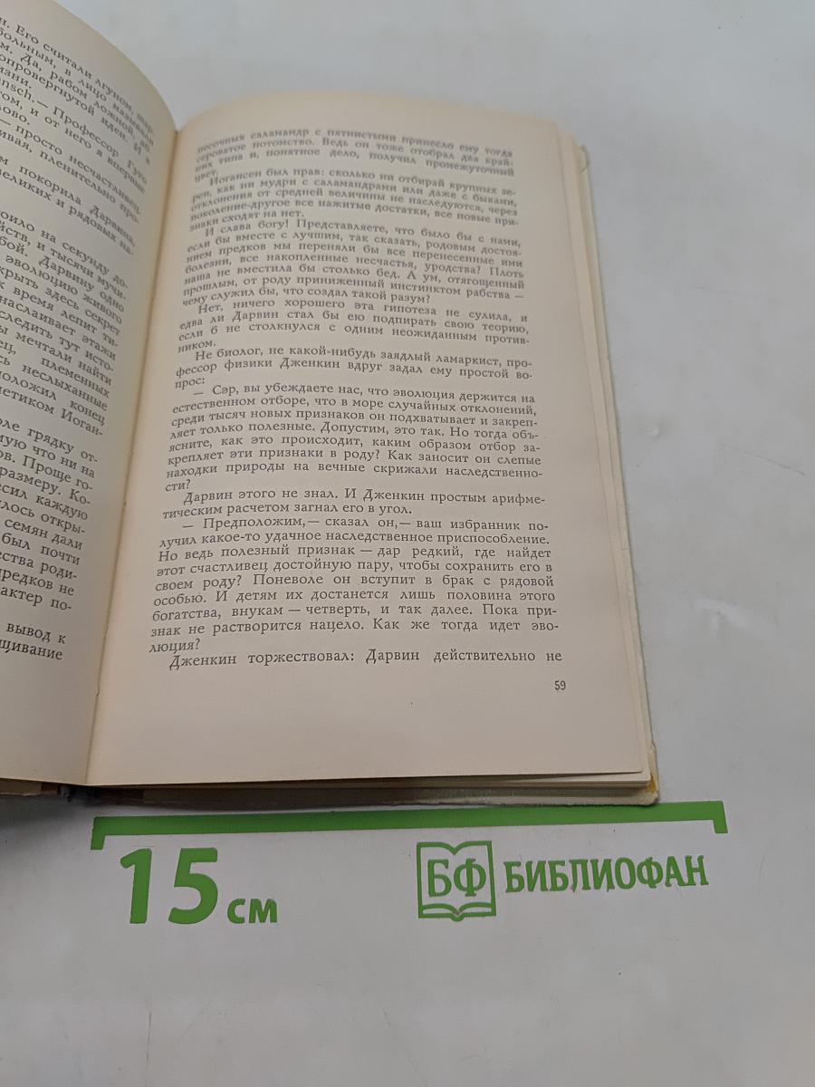 Во всех зеркалах. Книга поисков