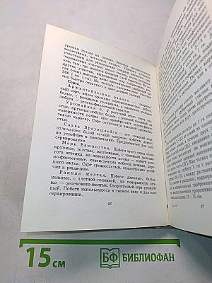 Зеленные и пряные овощные культуры