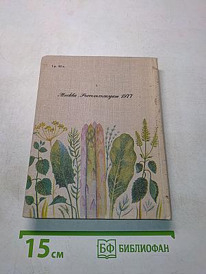Зеленные и пряные овощные культуры