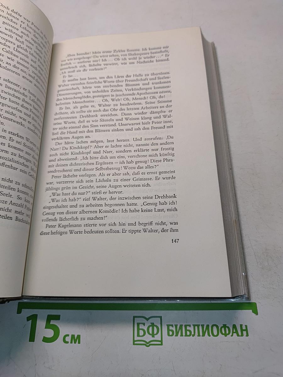 Die Söhne. Roman
