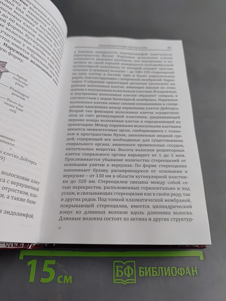 Сенсоневральная тугоухость