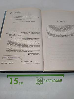 STALKER. Проклятое место. Лестница в небо