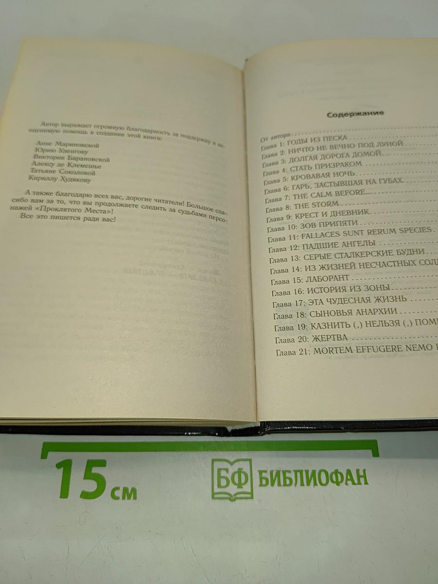 STALKER. Проклятое место. Лестница в небо