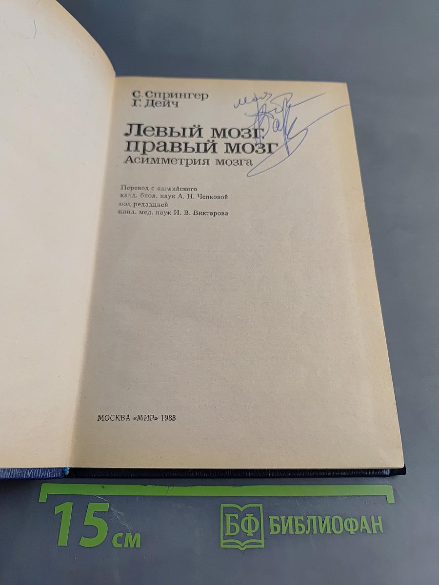 Левый мозг, правый мозг: Асимметрия мозга