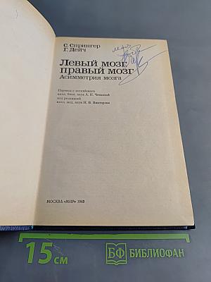 Левый мозг, правый мозг: Асимметрия мозга