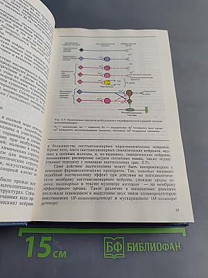 Общий курс физиологии человека и животных. Книга 2. Физиология висцеральных систем