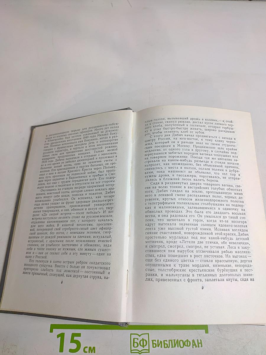 Собрание сочинений в девяти томах. Том седьмой. Необыкновенное лето