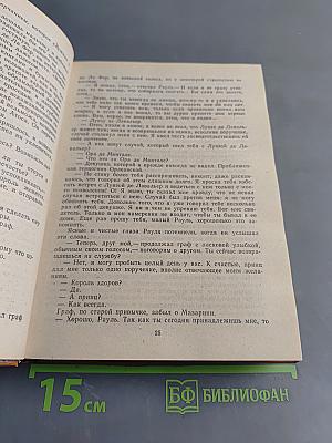 Виконт де Бражелон, или Десять лет спустя. Том 1