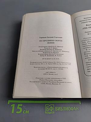 По прозвищу Ворон. Двойник