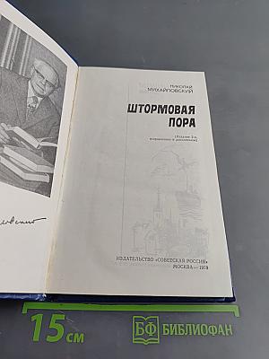 Штормовая пора