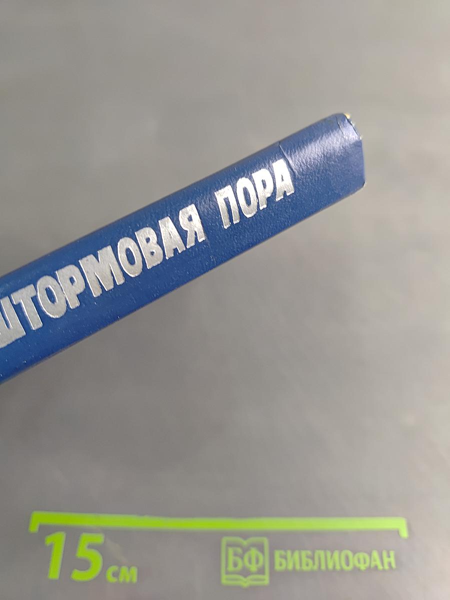 Штормовая пора