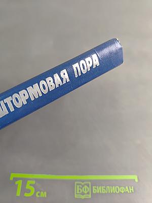 Штормовая пора