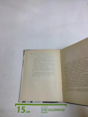 Охотник за метеоритами