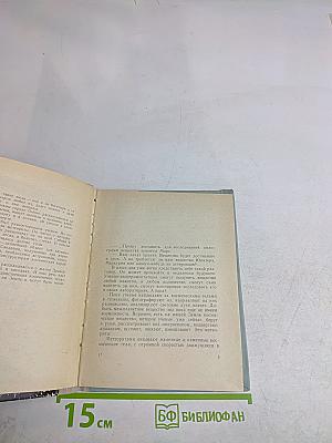 Охотник за метеоритами