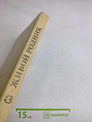 Живой родник