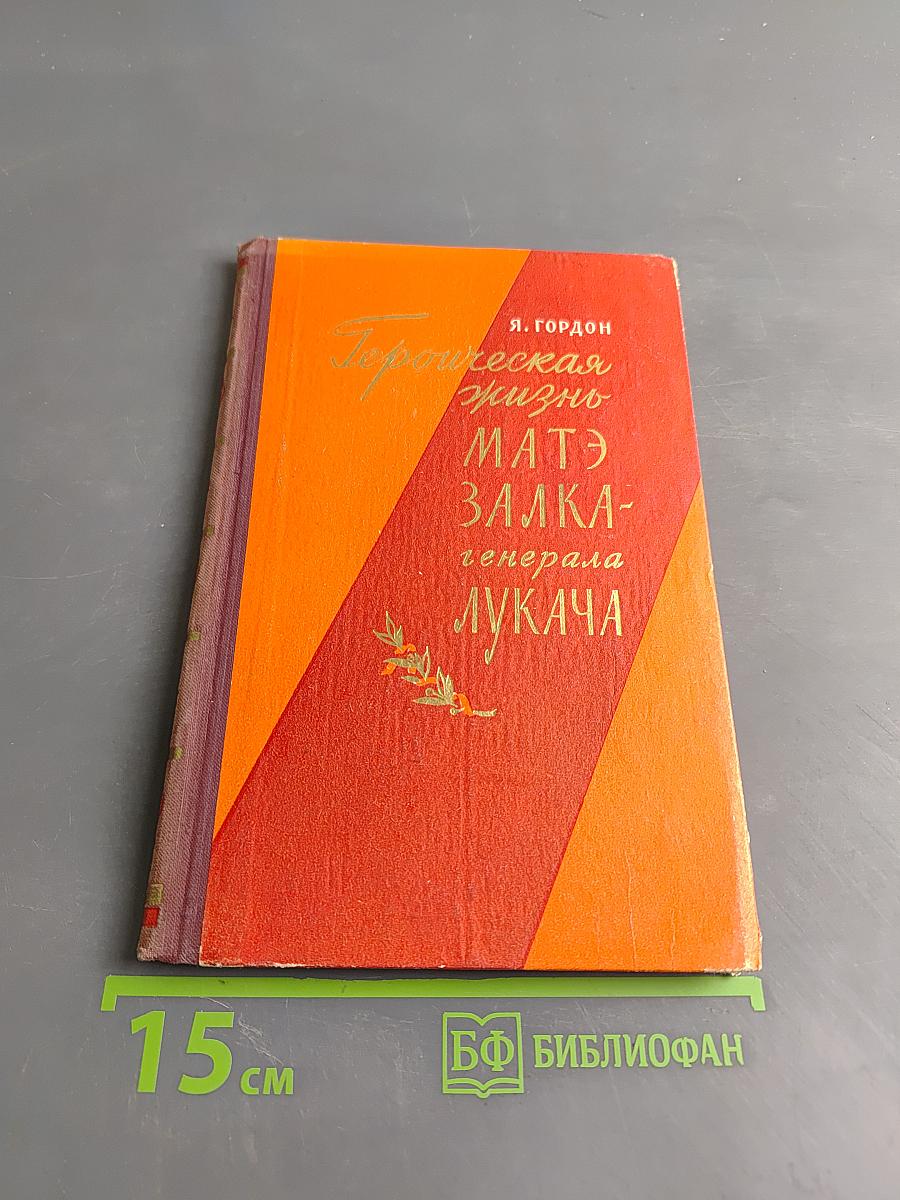Героическая жизнь Матэ Залка-генерала Лукача