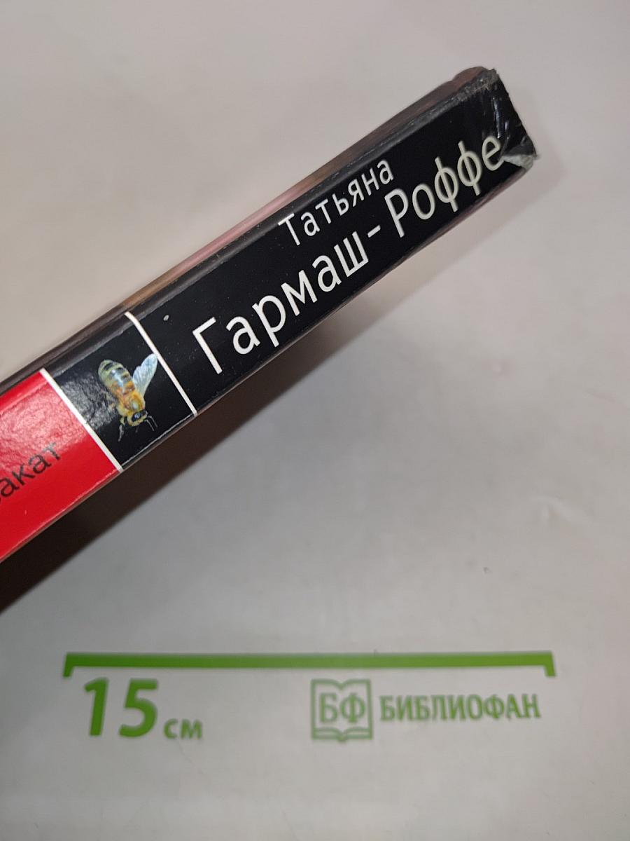 Черное кружево, алый закат