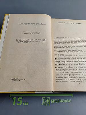 Былое и думы