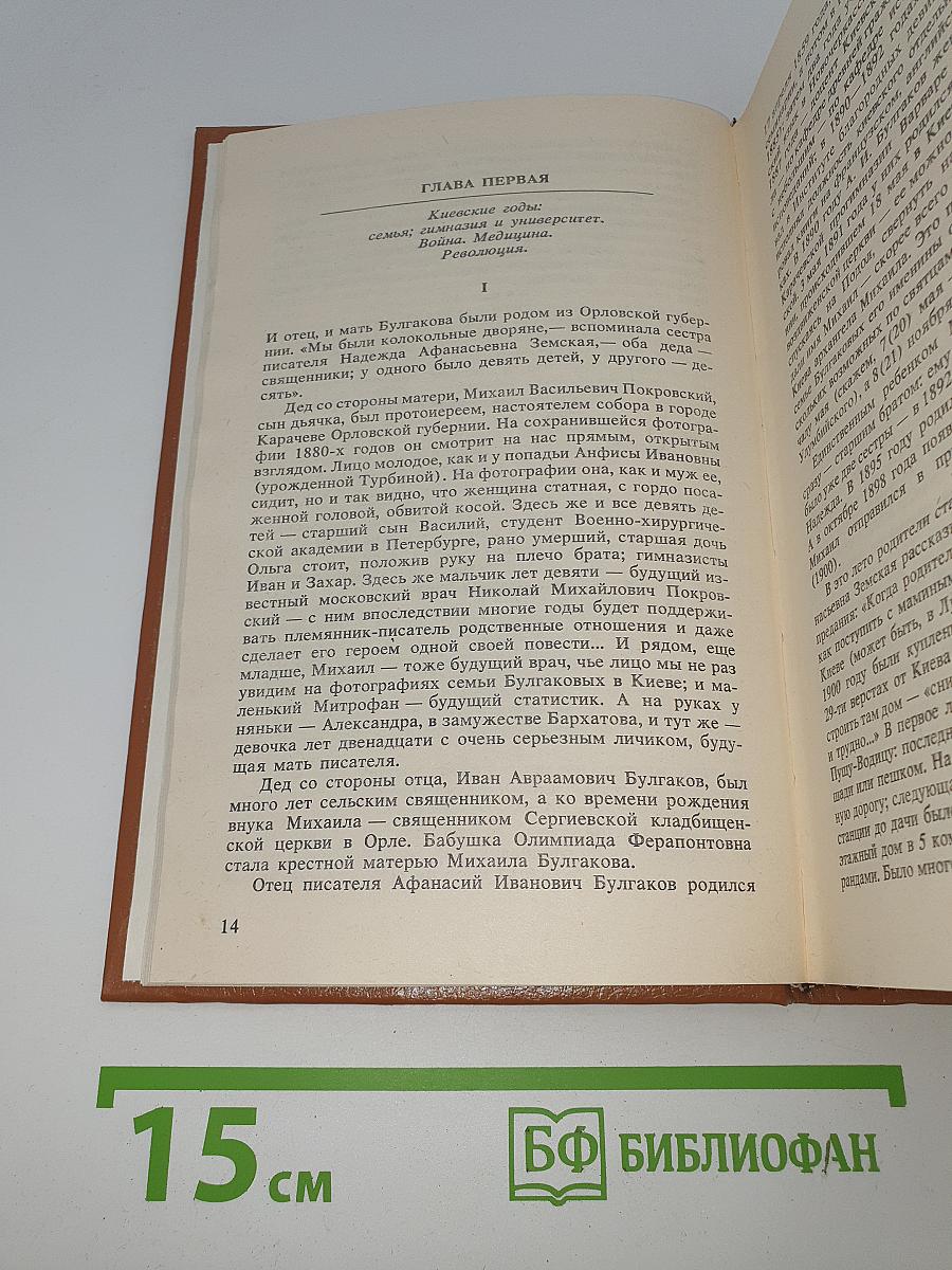 Жизнеописание Михаила Булгакова