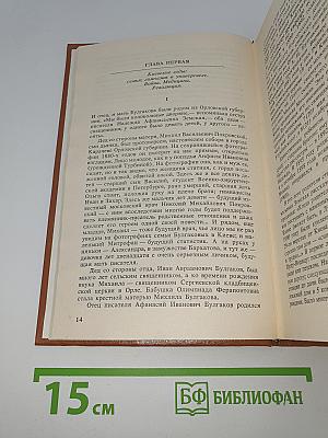 Жизнеописание Михаила Булгакова
