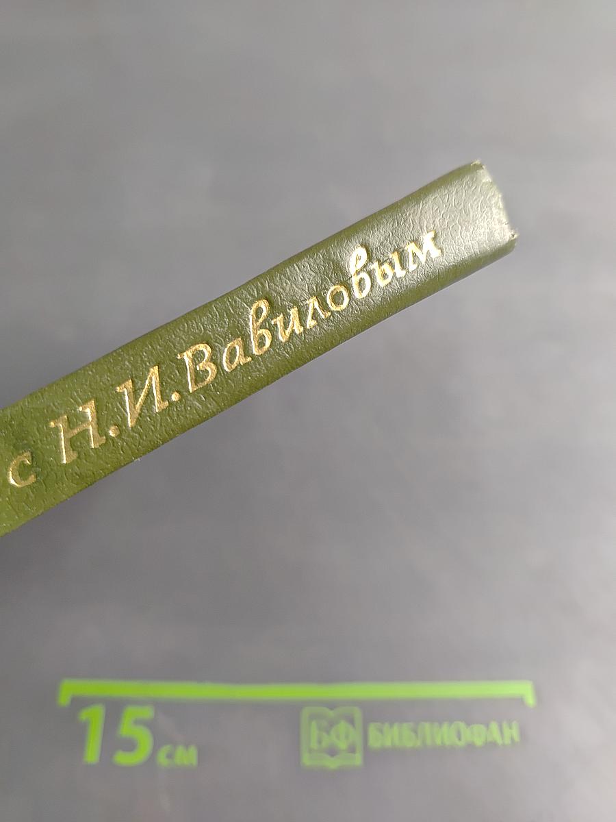 Рядом с Н.И. Вавиловым