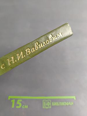 Рядом с Н.И. Вавиловым