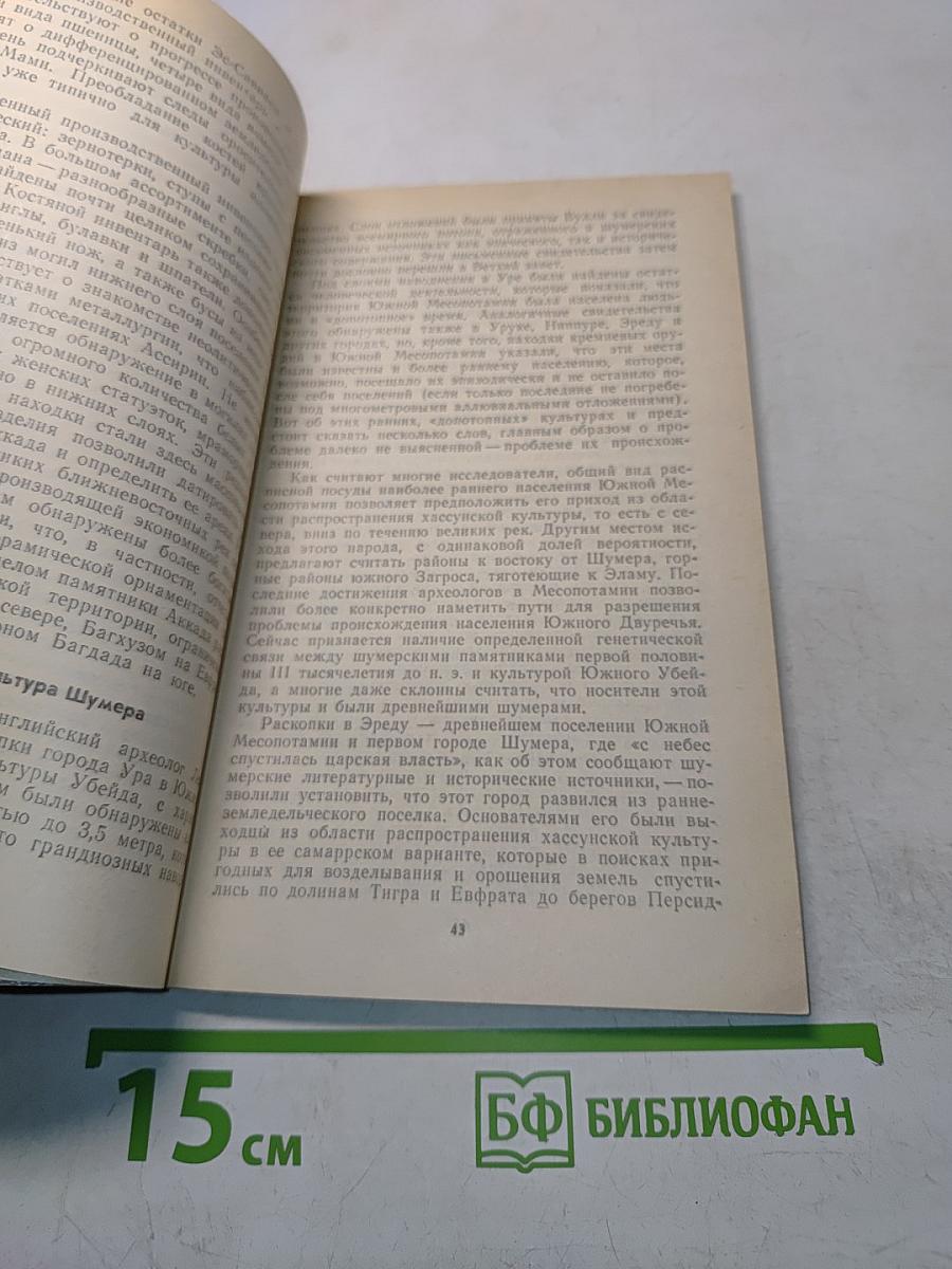 А что было до потопа?