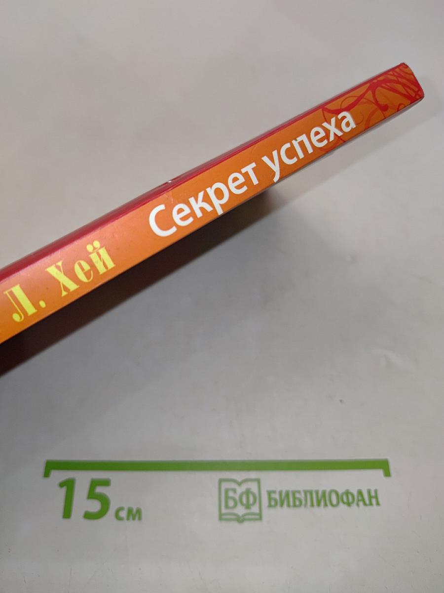 Секрет успеха. Как добиться финансового благополучия