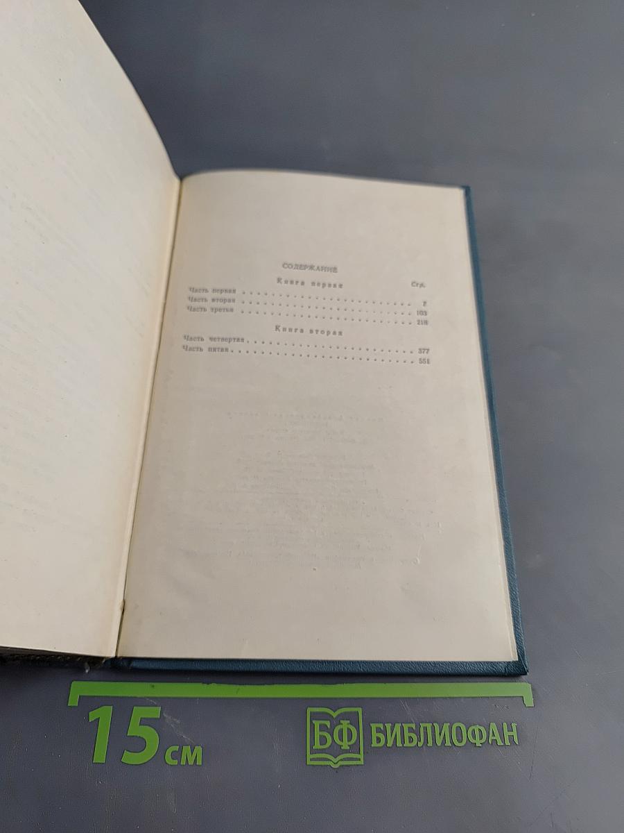 Тихий Дон. Книга первая и вторая