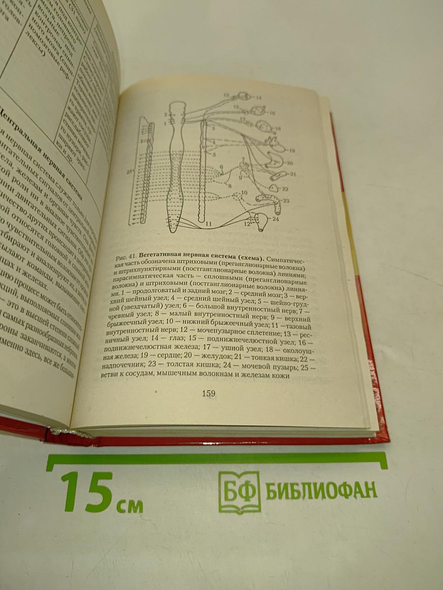 Справочник семейной медсестры. Том 1