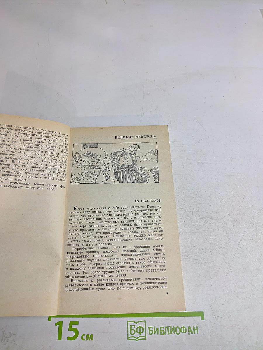 Парадоксы мозга