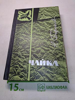 Чайка