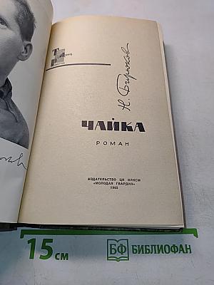Чайка